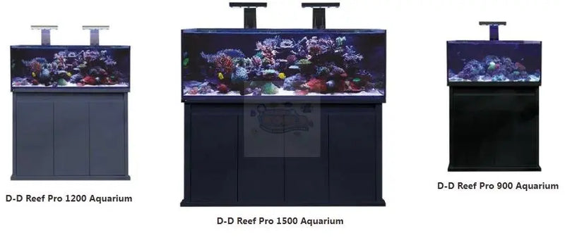 D-D Aquarium