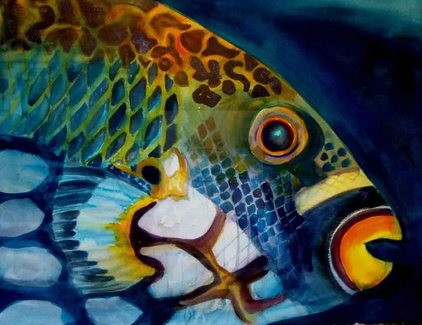 Parrotfish facts