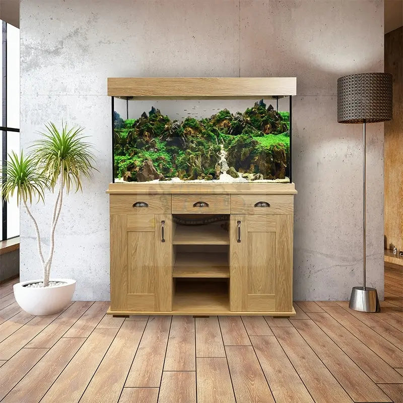 Maintaining a Saltwater Fish Tank Made Easy