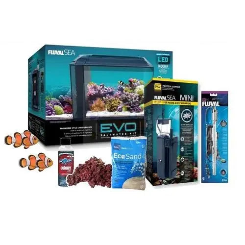 Marine Aquarium