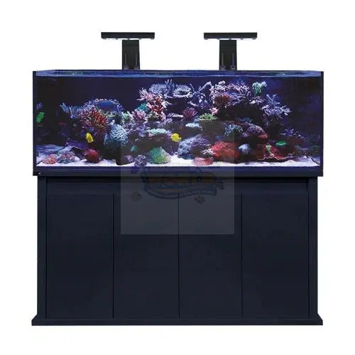 Saltwater Aquatics