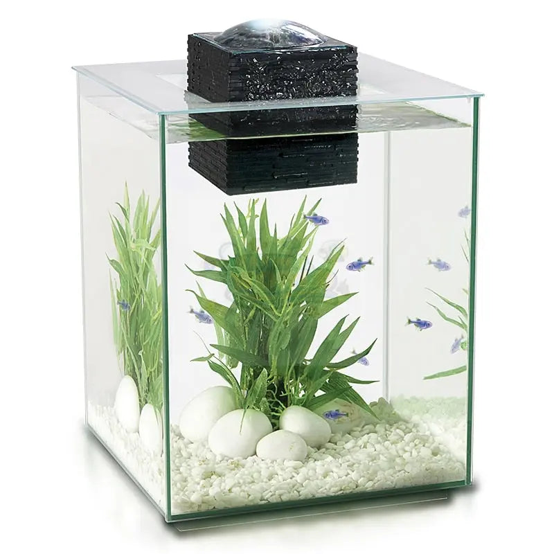 Chi Aquarium Kit, 5 US Gal / 19 L, Black - Marine World Aquatics