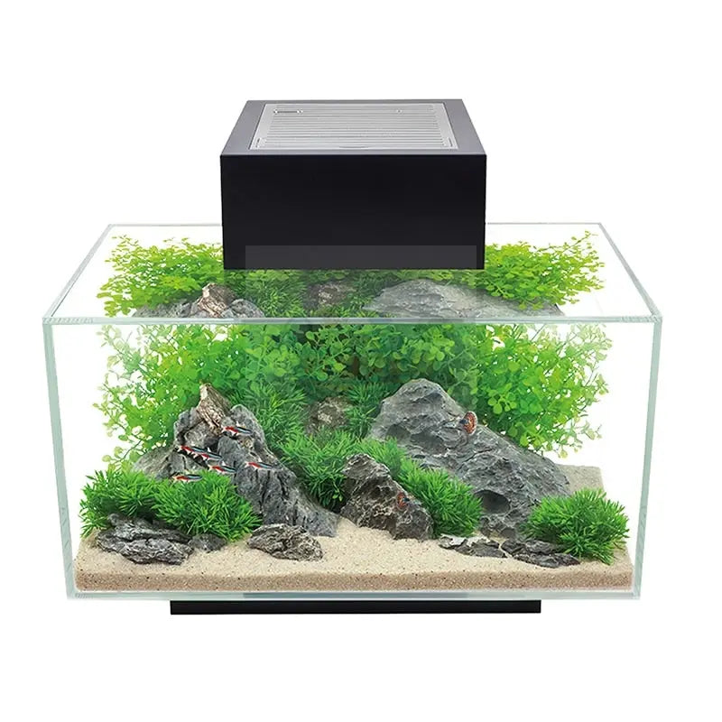 Fluval Edge Aquarium Kit 6 US Gal / 23 L - Marine World Aquatics