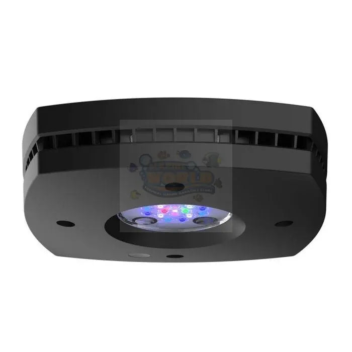 AI Prime 16 HD Light - Marine World Aquatics