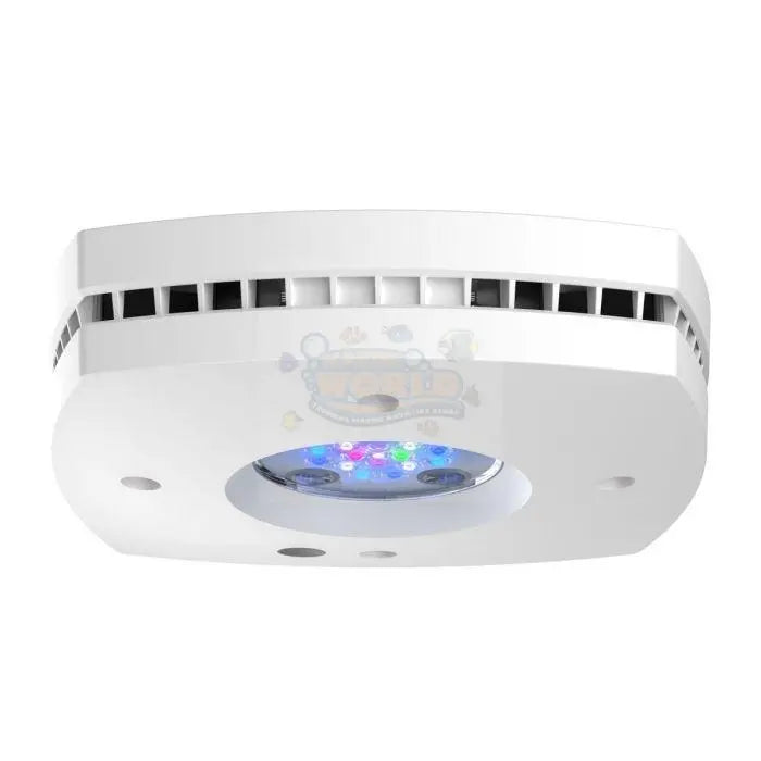 AI Prime 16 HD Light - Marine World Aquatics