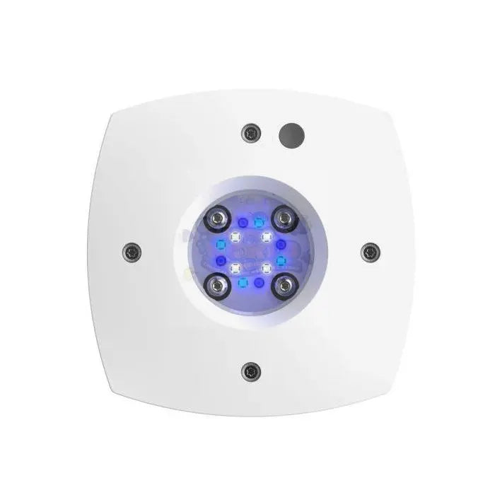 AI Prime SOL Light - Marine World Aquatics