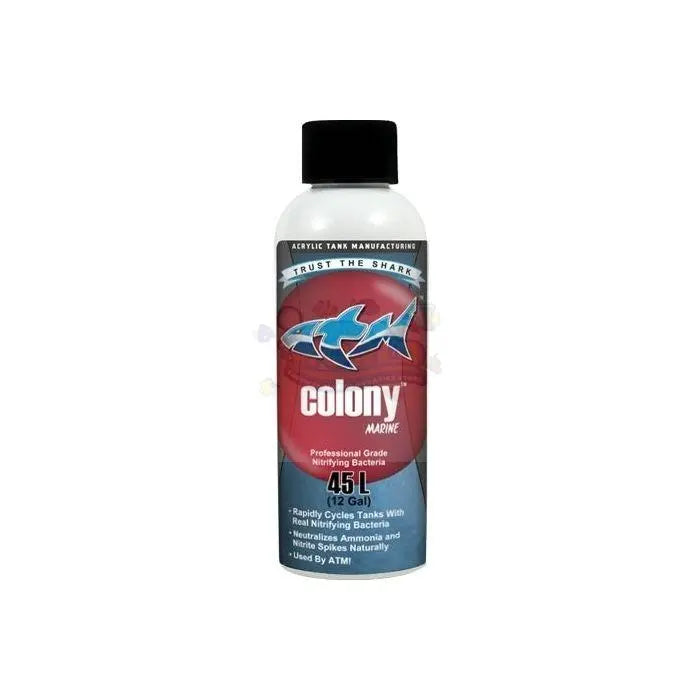 ATM Colony Saltwater 4oz - Marine World Aquatics