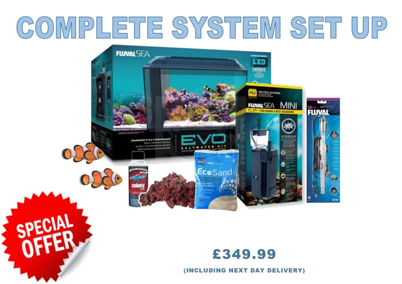 COMPLETE MARINE SYSTEM SETUP - Marine World Aquatics