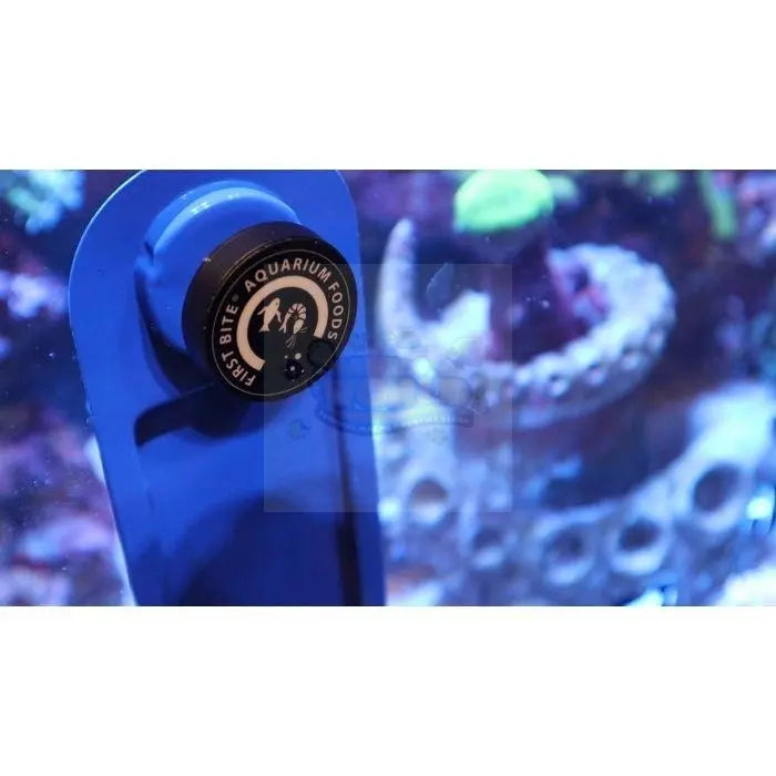 First Bite Magnetic Feeding Clip - Marine World Aquatics