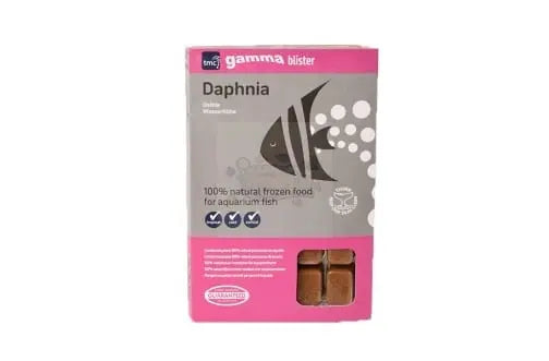 Gamma Daphnia Blister Pack 100g - Marine World Aquatics