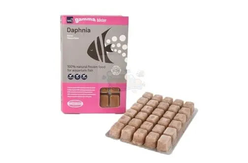 Gamma Daphnia Blister Pack 100g - Marine World Aquatics