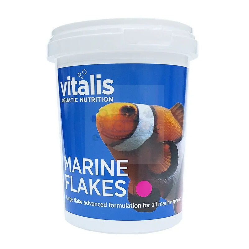 Vitalis Marine Flake 40g - Marine World Aquatics